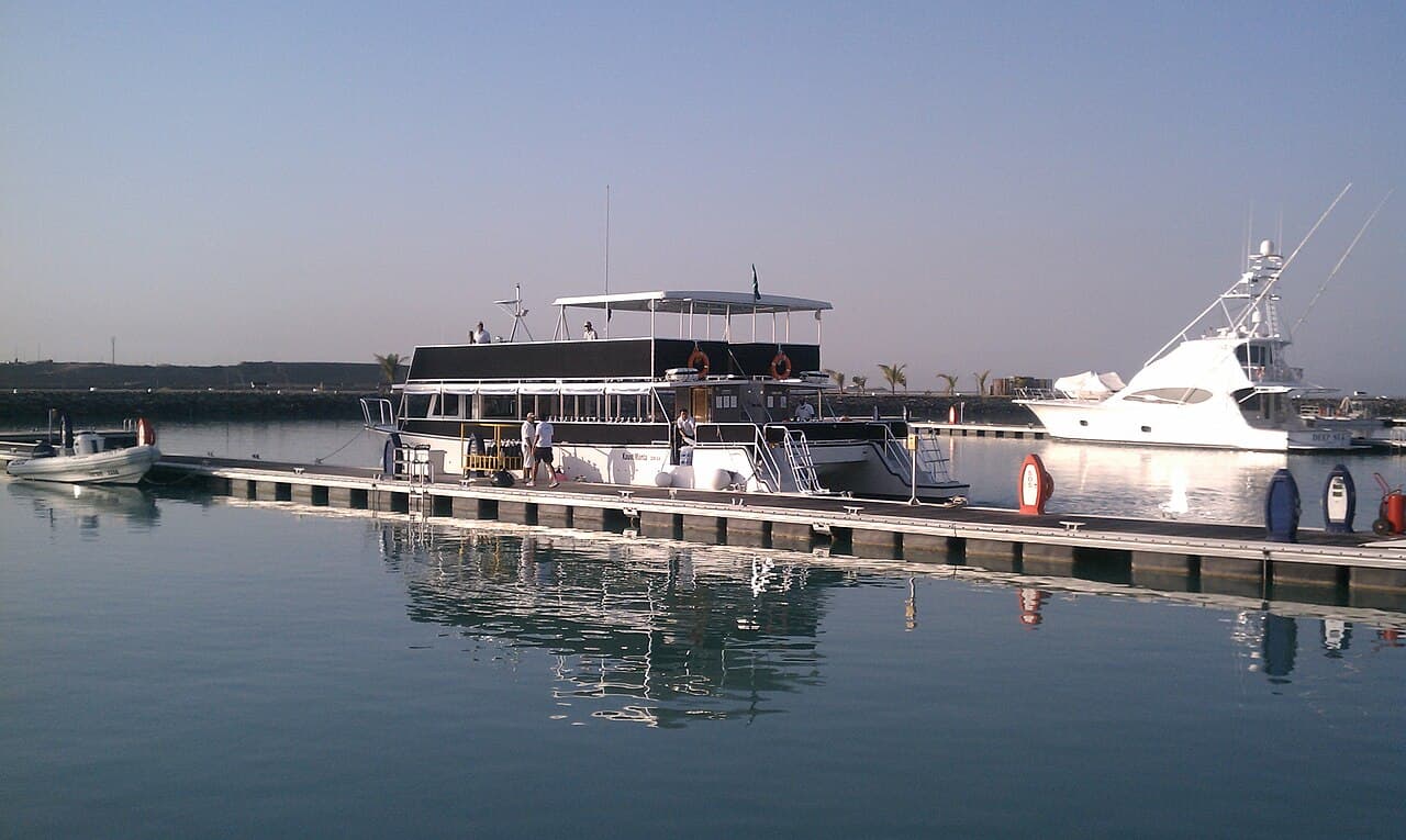 2021 Tritoon Pontoon | 24 ft | 150 HP Mercury