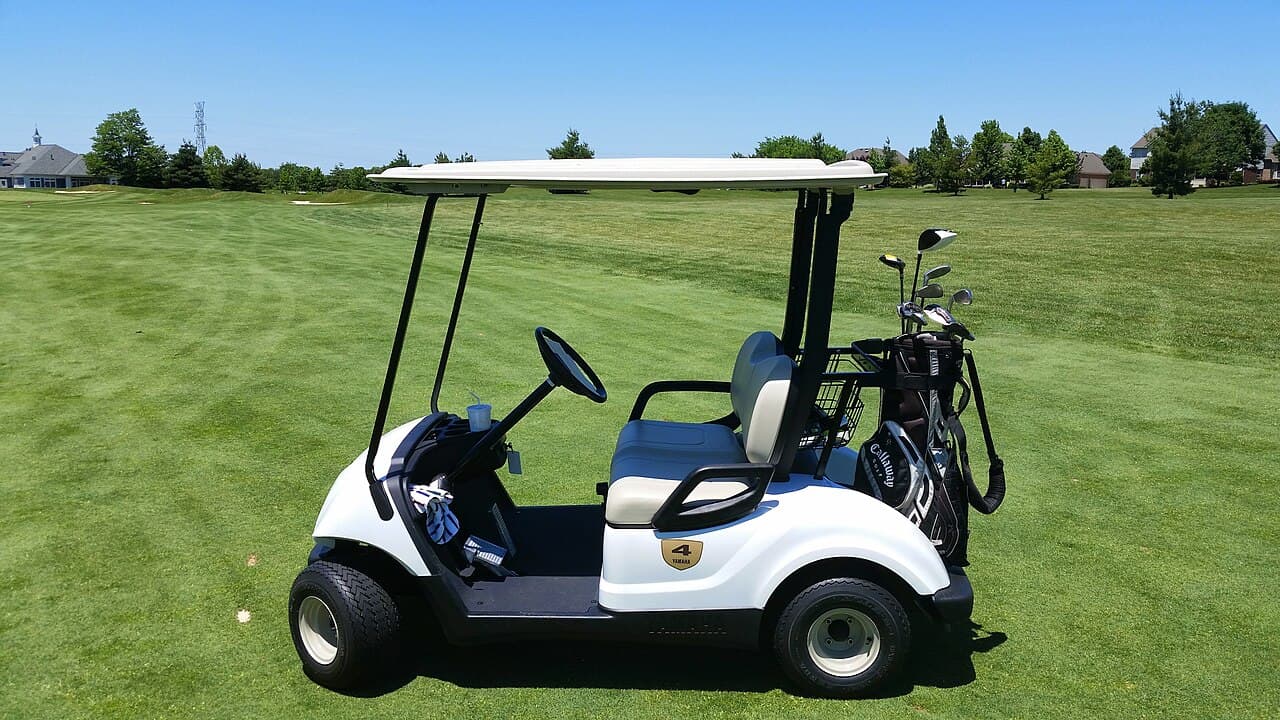 2021 Street-Legal 6-Seat Golf Cart | Rental LSV